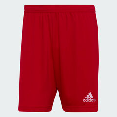 Adidas Шорты Entrada 22 Red H61735 H61735/2XL цена и информация | Мужские шорты | pigu.lt