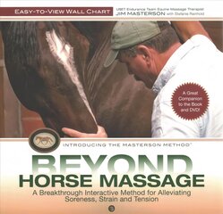 Beyond Horse Massage Wall Chart kaina ir informacija | Knygos apie sveiką gyvenseną ir mitybą | pigu.lt