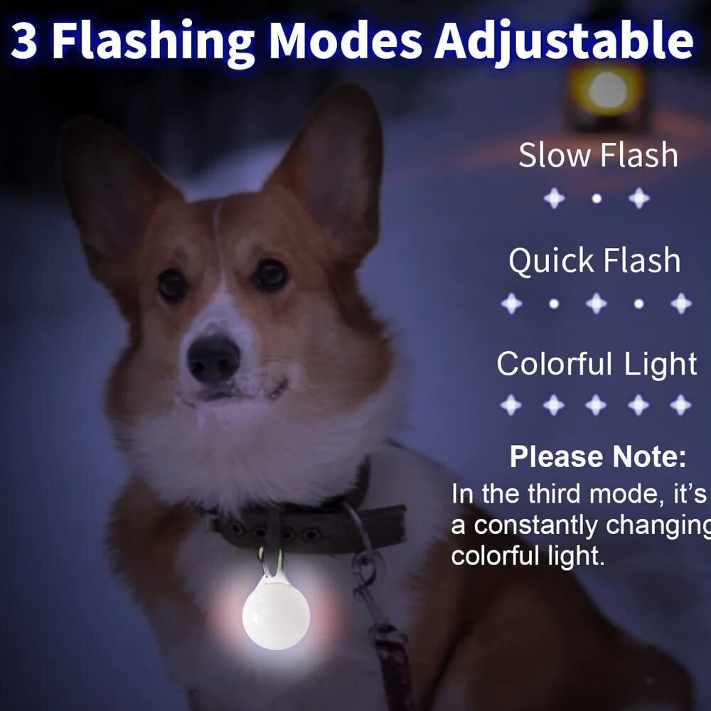 LED antkaklio pakabukas, baltas kaina ir informacija | Antkakliai, petnešos šunims | pigu.lt