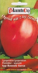 Pomidorai Oxheart (jaučio širdis) kaina ir informacija | Daržovių, uogų sėklos | pigu.lt