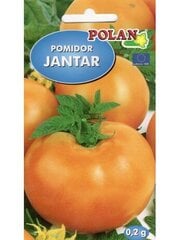 Помидоры Янтарь. Семена томатов цена и информация | Семена овощей, ягод | pigu.lt