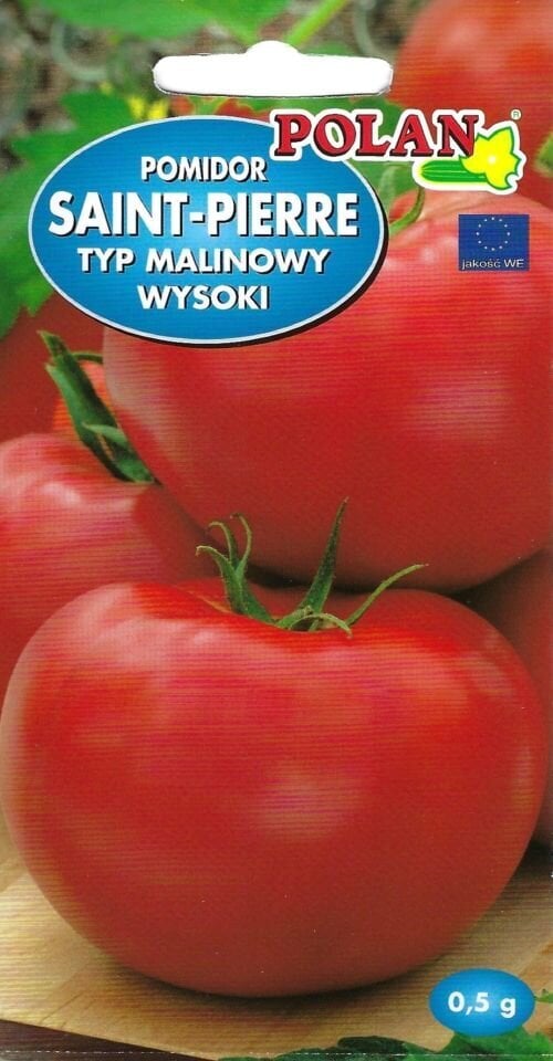 Avietiniai pomidorai Saint Pierre kaina ir informacija | Daržovių, uogų sėklos | pigu.lt