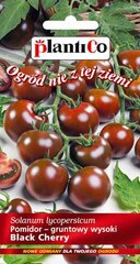 Коктейльные помидоры Блэк Черри цена и информация | Семена овощей, ягод | pigu.lt