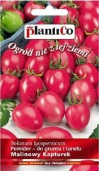 Vyšniniai pomidorai Malinowy Kapturek цена и информация | Семена овощей, ягод | pigu.lt