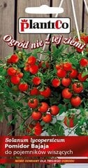 Pomidorai Bajaja kaina ir informacija | Daržovių, uogų sėklos | pigu.lt