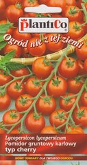 Помидоры балконные помидоры Маскотка цена и информация | Семена овощей, ягод | pigu.lt