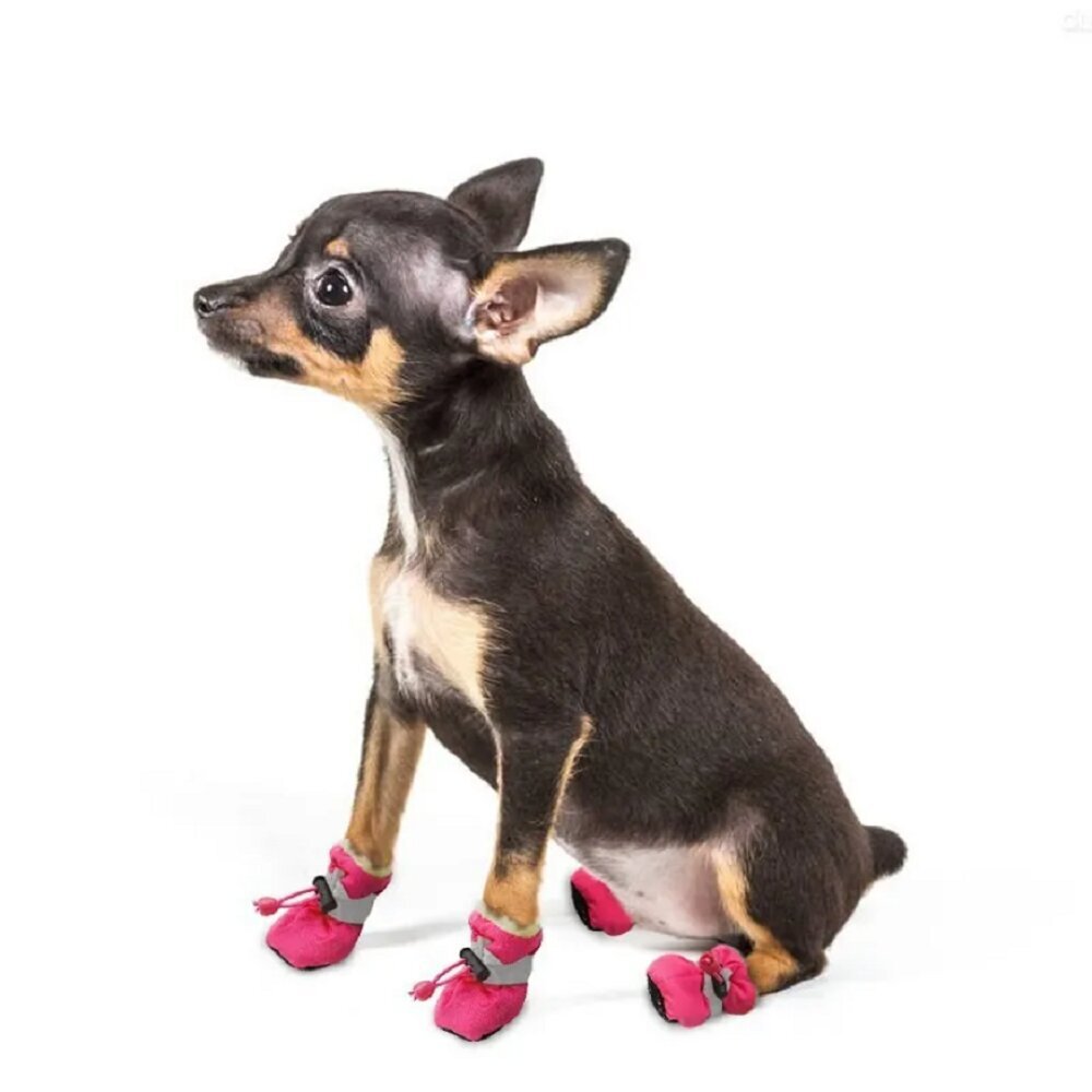 Batai šunims Litelife, rožiniai, 4 vnt., įv. dydžių kaina ir informacija | Drabužiai šunims | pigu.lt