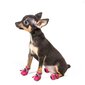 Batai šunims Litelife, rožiniai, 4 vnt., įv. dydžių цена и информация | Drabužiai šunims | pigu.lt