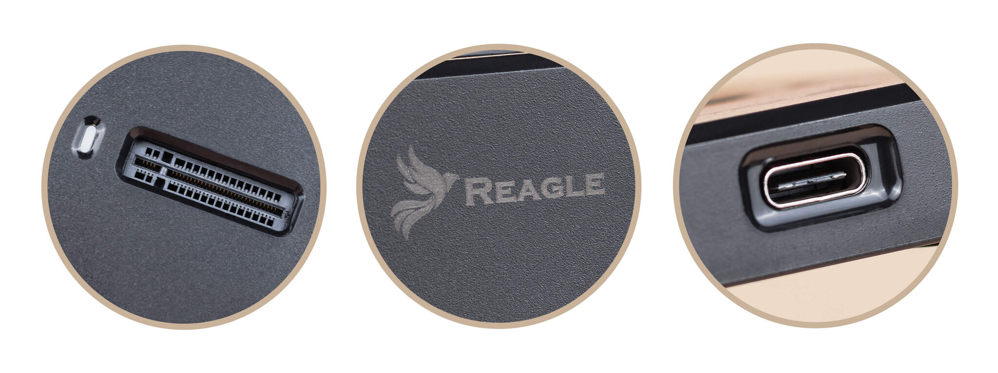 Reagle RY5M2 kaina ir informacija | Adapteriai, USB šakotuvai | pigu.lt