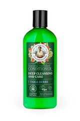 Kondicionierius Recipes Of Babushka Agafia Deep Cleansing & Care, 260 ml цена и информация | Бальзамы, кондиционеры | pigu.lt