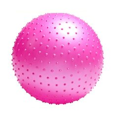 Gimnastikos kamuolys Spokey Saggio FIT, 65cm, rožinis kaina ir informacija | Gimnastikos kamuoliai | pigu.lt