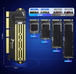 Reagle adapteris PCI-E x16 x8 x4 m.2 SSD NVMe 64Gbps цена и информация | Внутренние жёсткие диски (HDD, SSD, Hybrid) | pigu.lt