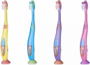 Dantų šepetėlis Brush-Baby Flossbrush 6+ metų vaikams, 4 spalvos цена и информация | Зубные щетки, пасты | pigu.lt