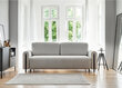 Sofa Eltap Arcadova, pilka kaina ir informacija | Sofos | pigu.lt
