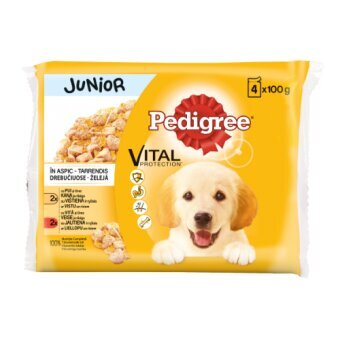 PEDIGREE Junior konservuotas ėdalas šunims 4x100 g цена и информация | Konservai šunims | pigu.lt
