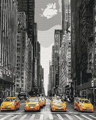 Tapyba pagal skaičius DIY New York, 40X50cm цена и информация | Набор для рисования по номерам | pigu.lt