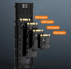 REAGLE NVME SATA PCIe M.2 SSD korpusas USB-C 3.1 M2 adapterio kišenės цена и информация | Внутренние жёсткие диски (HDD, SSD, Hybrid) | pigu.lt