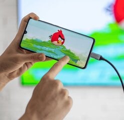 Reagle USB-C/DisplayPort, 1.8 m цена и информация | Кабели и провода | pigu.lt