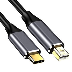 Reagle USB-C/mini DisplayPort, 1.8 m цена и информация | Кабели и провода | pigu.lt