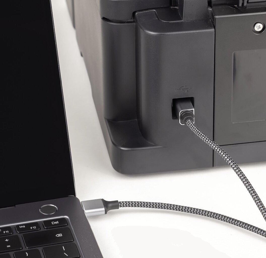 Reagle USB-A/USB-B, 1.5 m цена и информация | Kabeliai ir laidai | pigu.lt