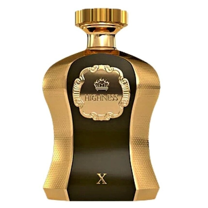 Kvapusis vanduo Afnan Highness X EDP vyrams, 100 ml kaina ir informacija | Kvepalai vyrams | pigu.lt