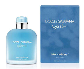 Dolce & Gabbana Light Blue kaina ir informacija | Kvepalai vyrams | pigu.lt