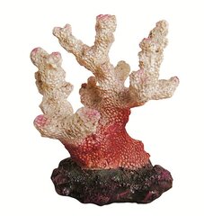 Akvariumo dekoracija Happet R113 koralas 6,5 cm kaina ir informacija | Akvariumo augalai, dekoracijos | pigu.lt