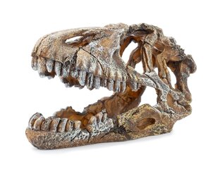 Happet украшение для аквариума U714 череп динозавра 17 см цена и информация | Аквариумные растения и декорации | pigu.lt
