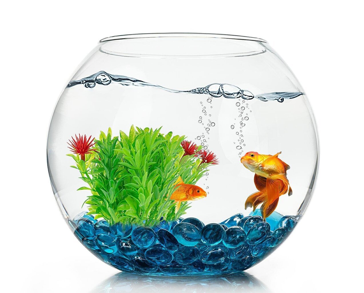 Plokščio stiklo akvariumo dekoracija Happet OS18 kaina ir informacija | Akvariumo augalai, dekoracijos | pigu.lt