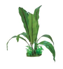 Folijos augalas Happet 0F07, žalias kaina ir informacija | Akvariumo augalai, dekoracijos | pigu.lt