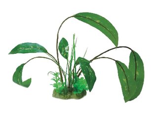 Folijos augalas Happet 0F08, žalias цена и информация | Аквариумные растения и декорации | pigu.lt