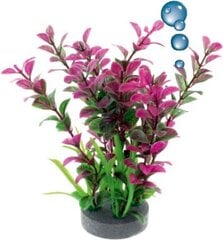 Folijos augalas Happet 0F13, violetinis/žalias kaina ir informacija | Akvariumo augalai, dekoracijos | pigu.lt