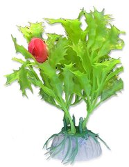 Augalų lizdinė plokštelė 10cm 1b11 Happet kaina ir informacija | Akvariumo augalai, dekoracijos | pigu.lt