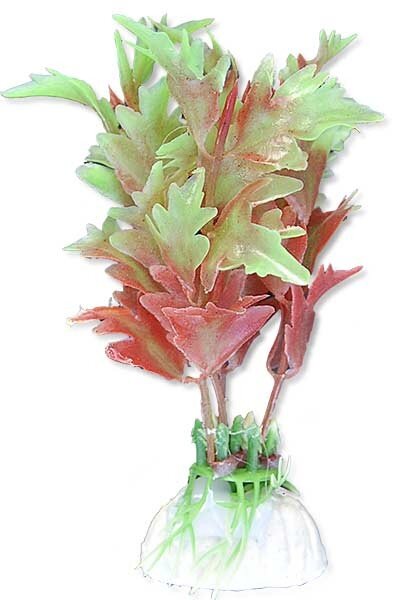 Augalų lizdinė plokštelė 10cm 1b14 Happet kaina ir informacija | Akvariumo augalai, dekoracijos | pigu.lt