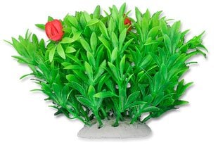 Folijos augalas 10cm 1f02 Happet kaina ir informacija | Akvariumo augalai, dekoracijos | pigu.lt