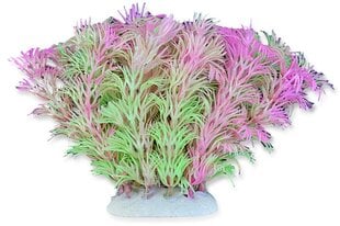 Folijos augalas 10cm 1f03 Happet kaina ir informacija | Akvariumo augalai, dekoracijos | pigu.lt