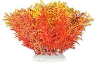 Folijos augalas 10cm 1f09 Happet kaina ir informacija | Akvariumo augalai, dekoracijos | pigu.lt