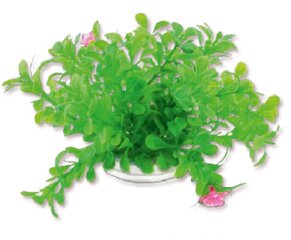 Folijos augalas 10cm 1f18 Happet kaina ir informacija | Akvariumo augalai, dekoracijos | pigu.lt