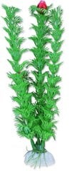Augalų lizdinė plokštelė 20cm 2b34 Happet kaina ir informacija | Akvariumo augalai, dekoracijos | pigu.lt