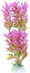 Augalų lizdinė plokštelė 20cm 2b35 Happet kaina ir informacija | Akvariumo augalai, dekoracijos | pigu.lt