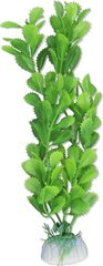Растение блистер 20см 2b38 Хаппет цена и информация | Аквариумные растения и декорации | pigu.lt