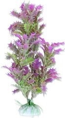 Augalų lizdinė plokštelė 20cm 2b40 Happet kaina ir informacija | Akvariumo augalai, dekoracijos | pigu.lt