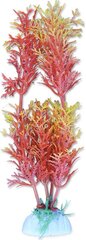 Augalų lizdinė plokštelė 20cm 2b45 Happet kaina ir informacija | Akvariumo augalai, dekoracijos | pigu.lt
