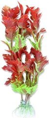 Augalų lizdinė plokštelė 20cm 2b49 Happet kaina ir informacija | Akvariumo augalai, dekoracijos | pigu.lt