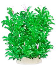 Растение из фольги 20 см 2f18 Happet цена и информация | Аквариумные растения и декорации | pigu.lt