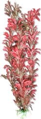 Augalų lizdinė plokštelė 40cm 4b62 Happet kaina ir informacija | Akvariumo augalai, dekoracijos | pigu.lt