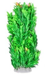 Folijos augalas 40cm 4f34 Happet kaina ir informacija | Akvariumo augalai, dekoracijos | pigu.lt