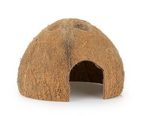 Kokoso riešuto kevalas ropliams Happet, 6 vnt. kaina ir informacija | Prekės egzotiniams gyvūnams | pigu.lt