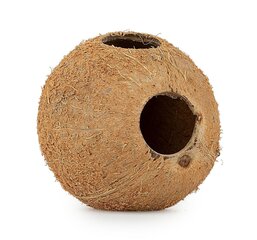 Kokoso riešuto kiautas gyvūnams Happet, 3 vnt. kaina ir informacija | Prekės egzotiniams gyvūnams | pigu.lt
