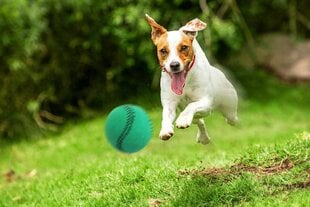 Žaislinis beisbolo kamuoliukas šunims Happet, 40mm, žalias kaina ir informacija | Žaislai šunims | pigu.lt